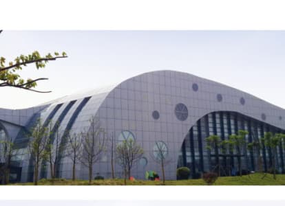 阆中会议中心外景网架工程